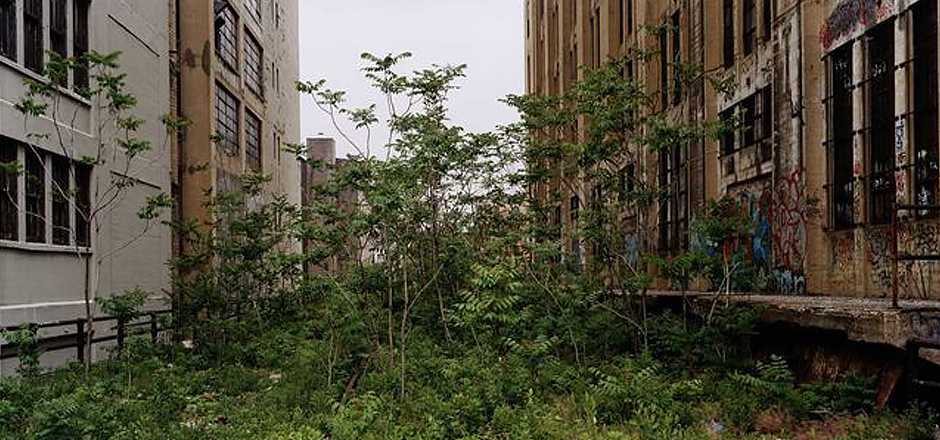 high_line5