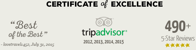 trip-advisor